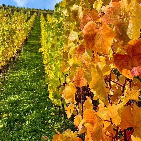 Fach1738 - Ahrtal デルナウ