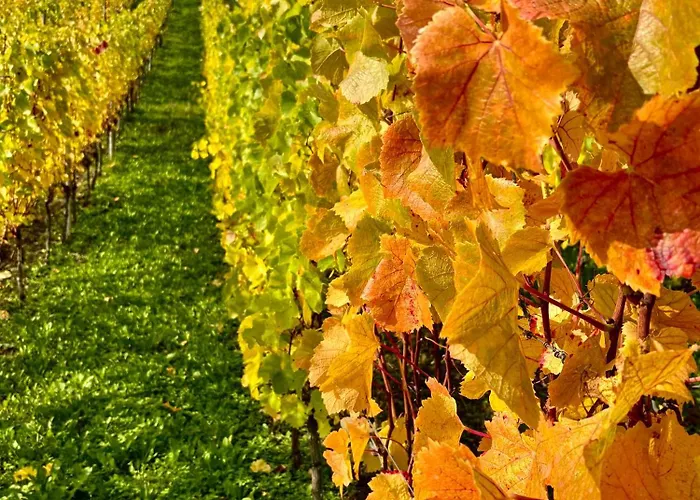 Fach1738 - Ahrtal デルナウ